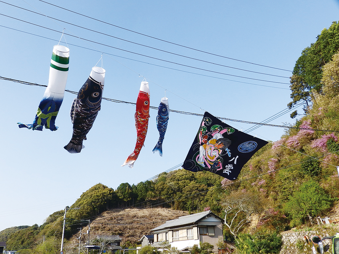 縦93cm高知　土佐　フラフ　鯉のぼり