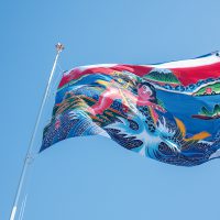 土佐の伝統と幼い記憶を大切に フラフに夢を乗せて ‹ 特集 ‹ とさぶし