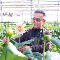 高知で花咲く名花〜ダリア〜 ‹ 特集 ‹ とさぶし