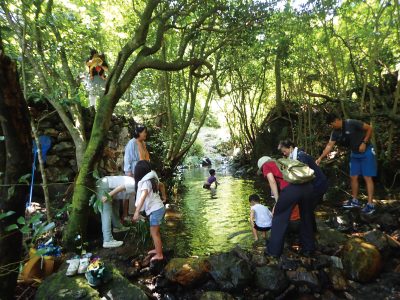 夏の遊びが 高知人のルーツ！-画像1