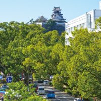 DSC01343-e1735192653138-