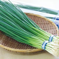 e3c27d9efd81e2696c67a8527f53c5