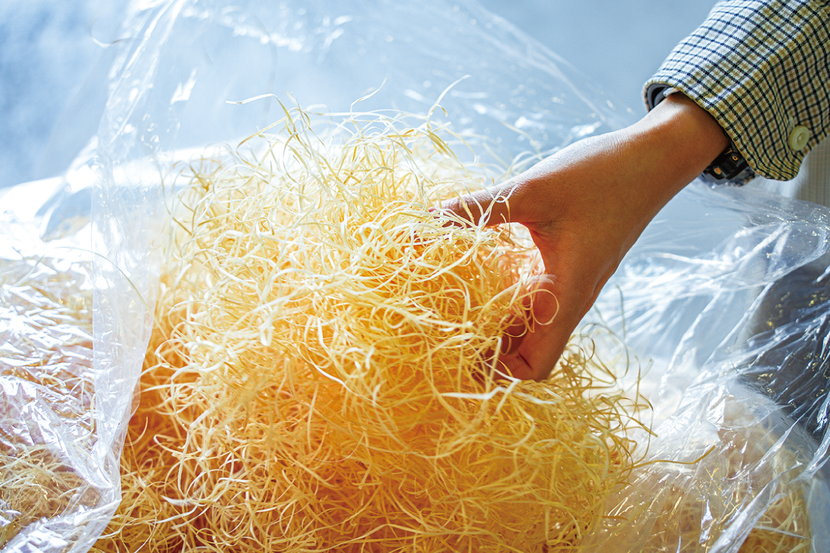 木毛（もくめん）