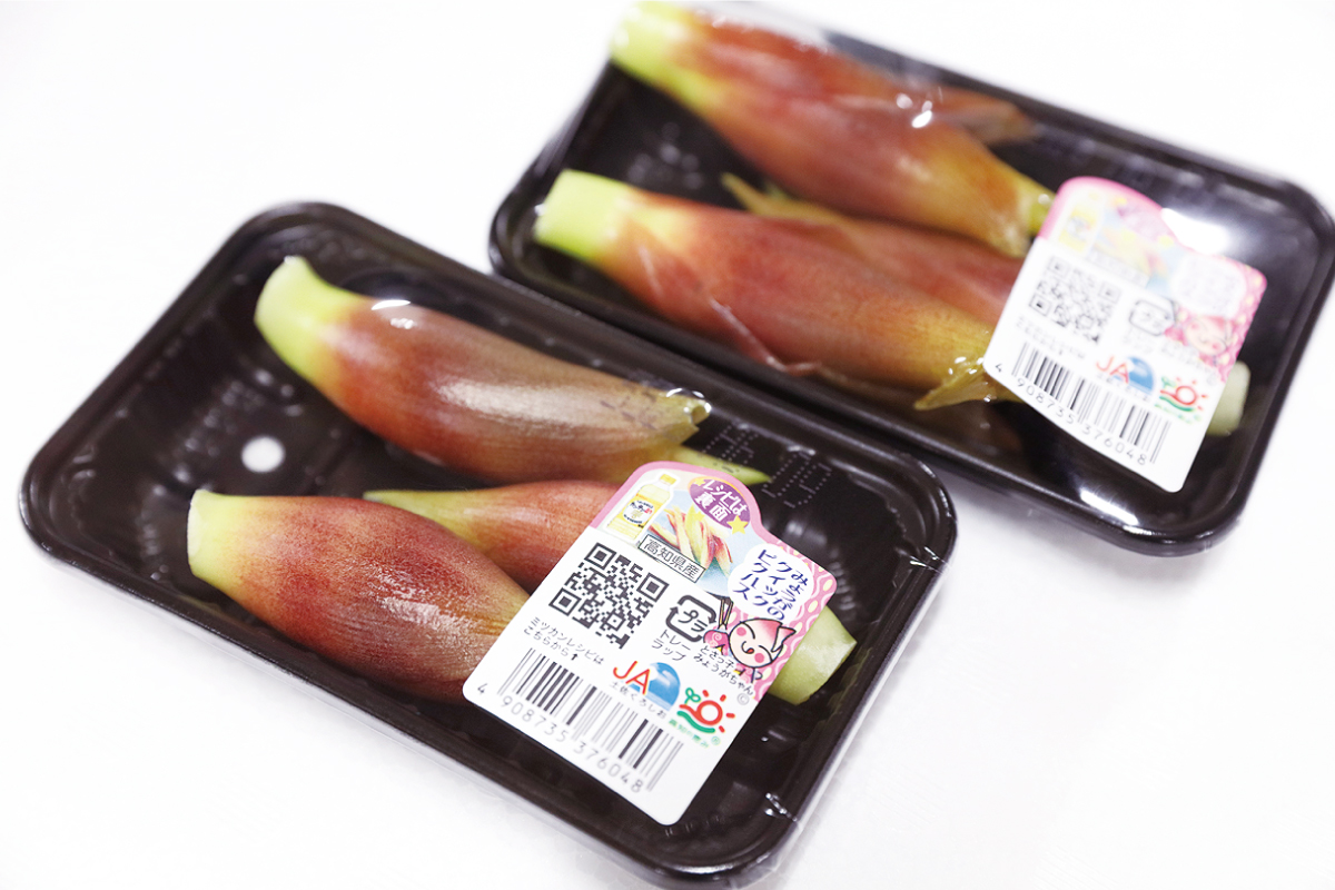 5-ミョウガ